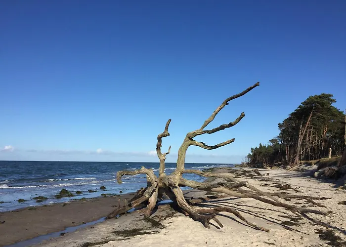 Appartement Moeoevnest *